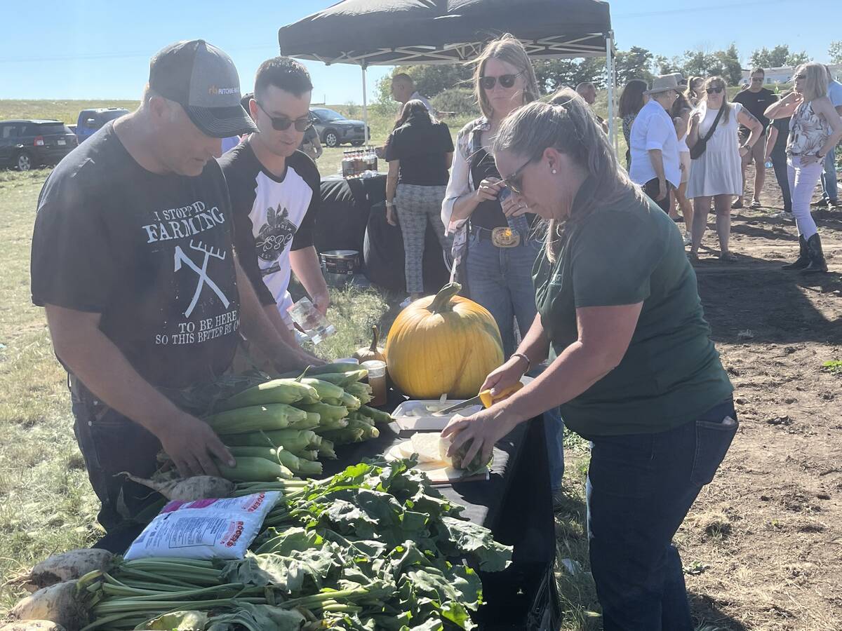 Molnar farms