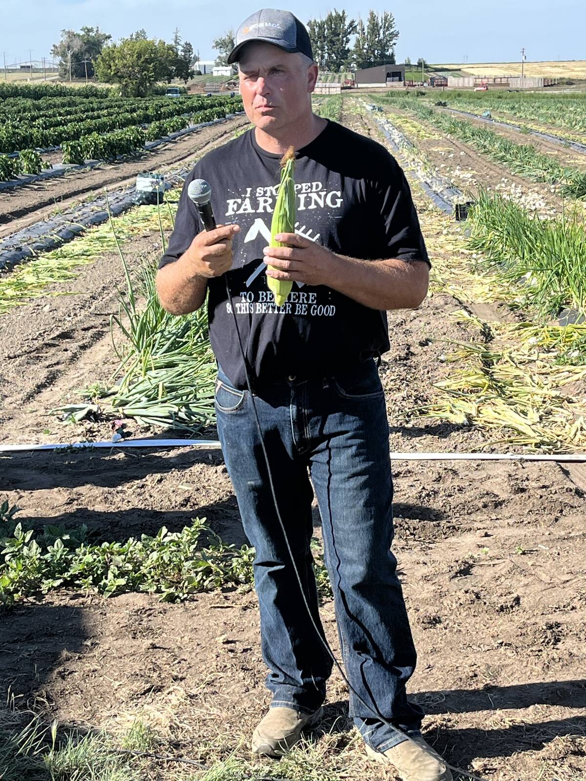 James Molnar shows his mid-season Kick Off corn variety. Photo: Greg Price