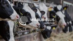 Wilbur-Ellis Nutrition will be known as Rangen after it was purchased by an affiliate of Balmoral Funds, LLC. Photo: Wilbur-Ellis Corporate
