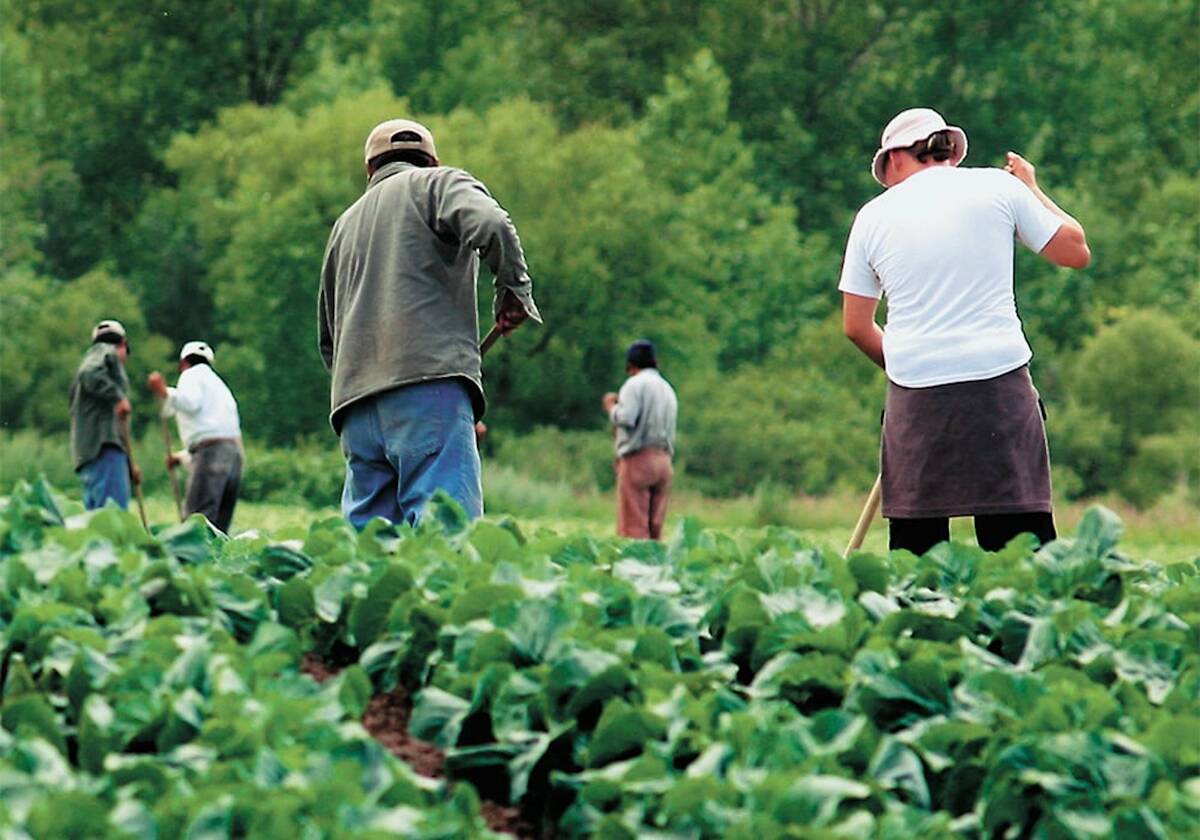 Reforms to the Temporary Foreign Worker program sparked concern in some quarters of agriculture.