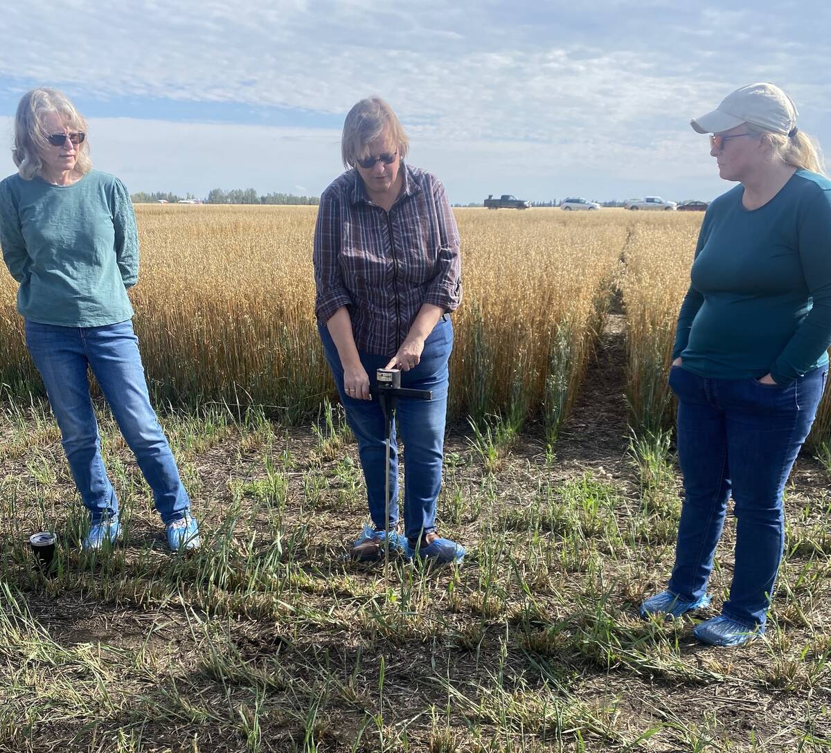 Stacy Murray, (centre) extension coordinator with Gateway Research Organization demonstrates the use of a petrometer during a GRO-ing Women's agriculture event near Westlock. Karen Letts (left) and Kim Barabas were among the 19 participants who turned up on August 19 to learn about testing soil, feed and seed.
Photo Credit: Alexis Kienlen