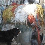 A dog checks out the bundle of baler twine collected and baled at the Mountainview Waste Management commission in Olds. The commission is one of the few across the prairies to accept a range of recyclable products including waste from surrounding farms in the Olds area. They recently started an agriculture plastics program where the material is collected and baled for shipment to recyclers.
