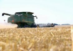 Growers faced many challenges with planting and controlling disease in winter wheat this year.