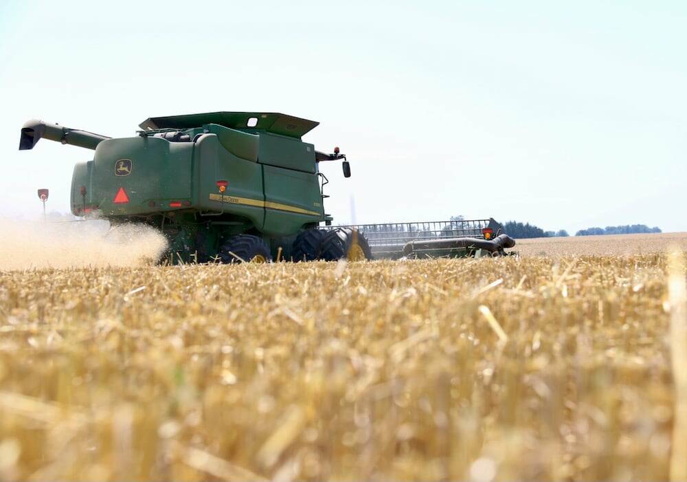 Growers faced many challenges with planting and controlling disease in winter wheat this year.