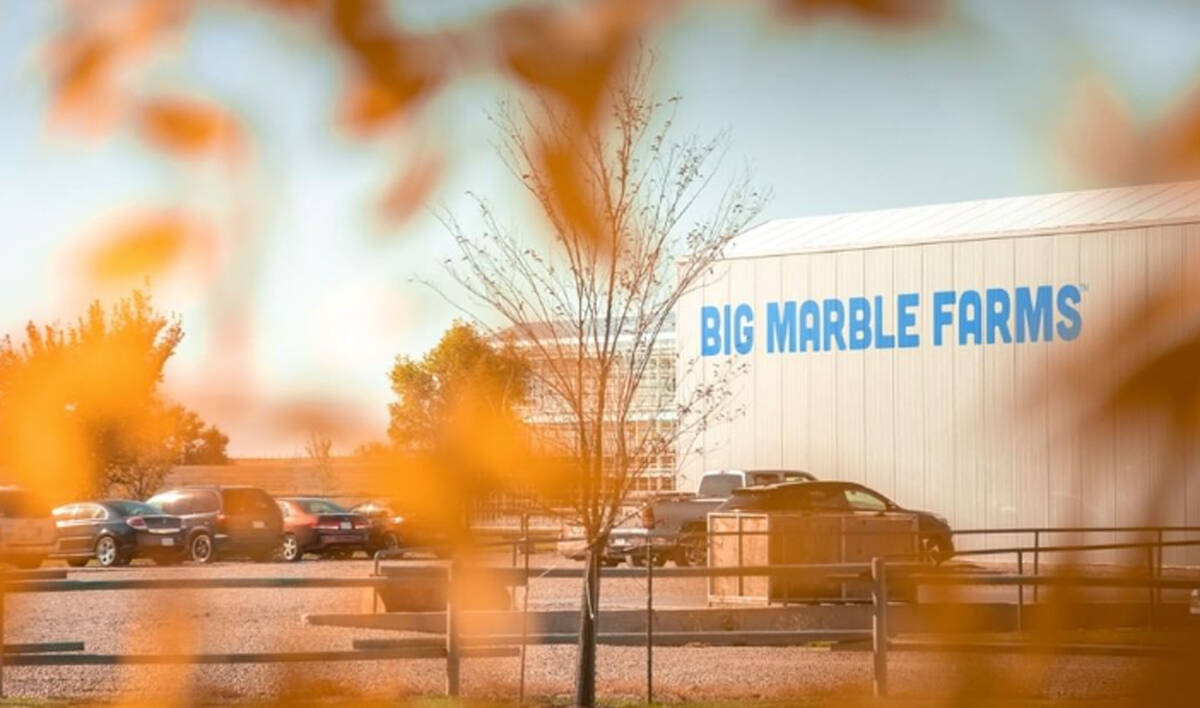Big Marble Farms in Cypress County, Alberta.