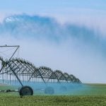 Irrigation capacity questioned