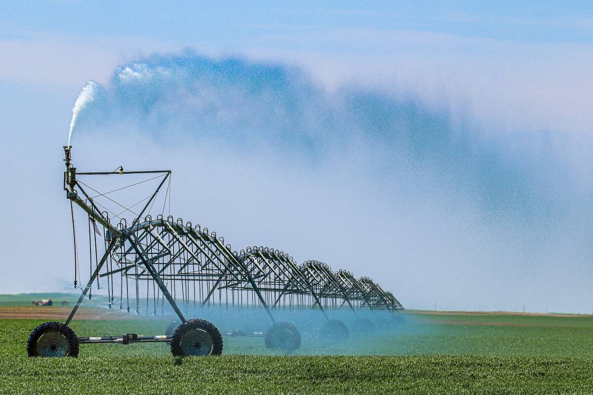 irrigation