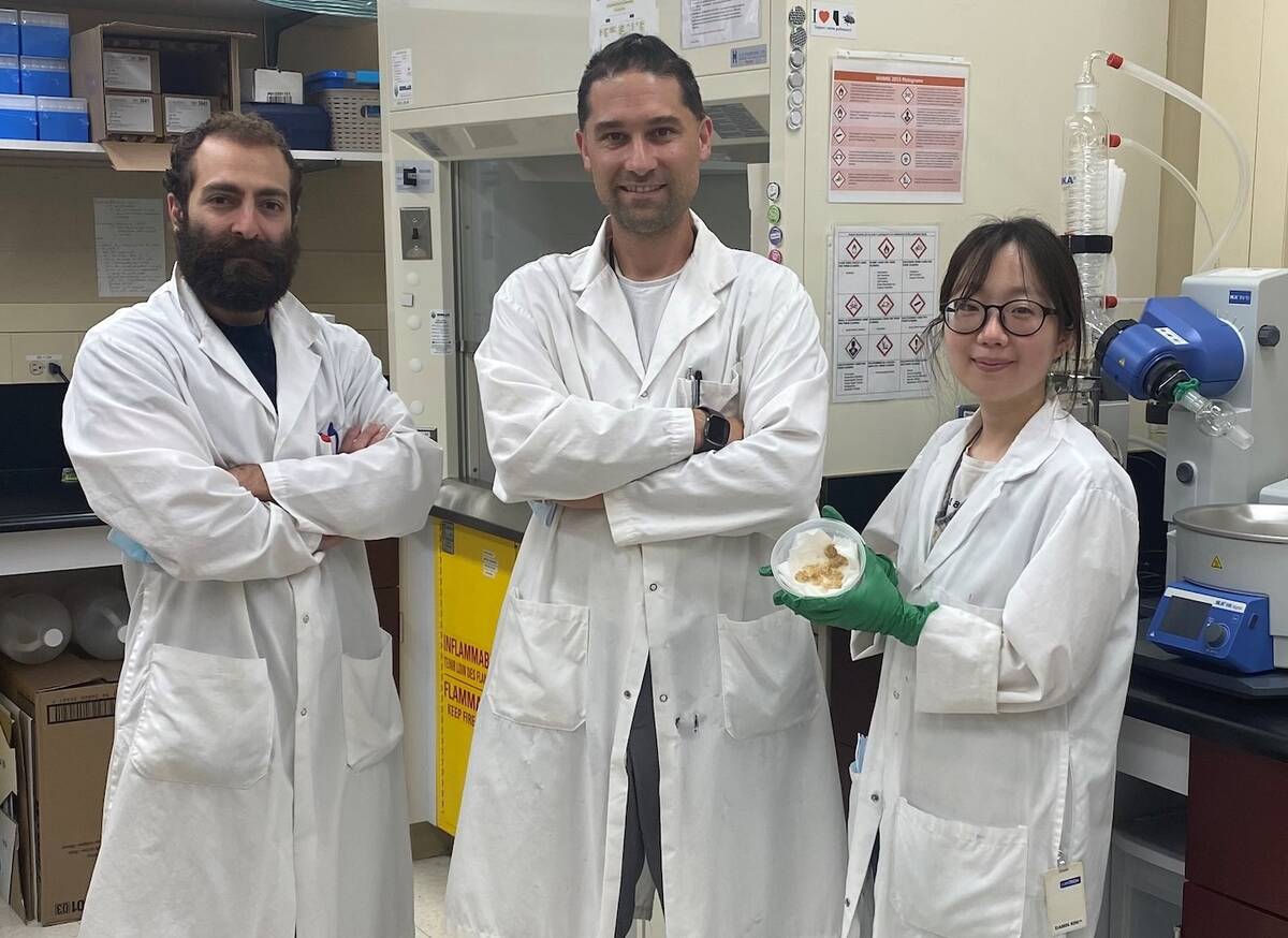 Armin Tchobanian, Justin Pahara and Damin Kim are all Agriculture and Agri-food researchers who wrote an academic paper on 3D X-Ray fluorescence of insect pests and analysis in a virtual environment.
Photo Credit: Supplied