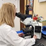 Scientiest studies soil samples.