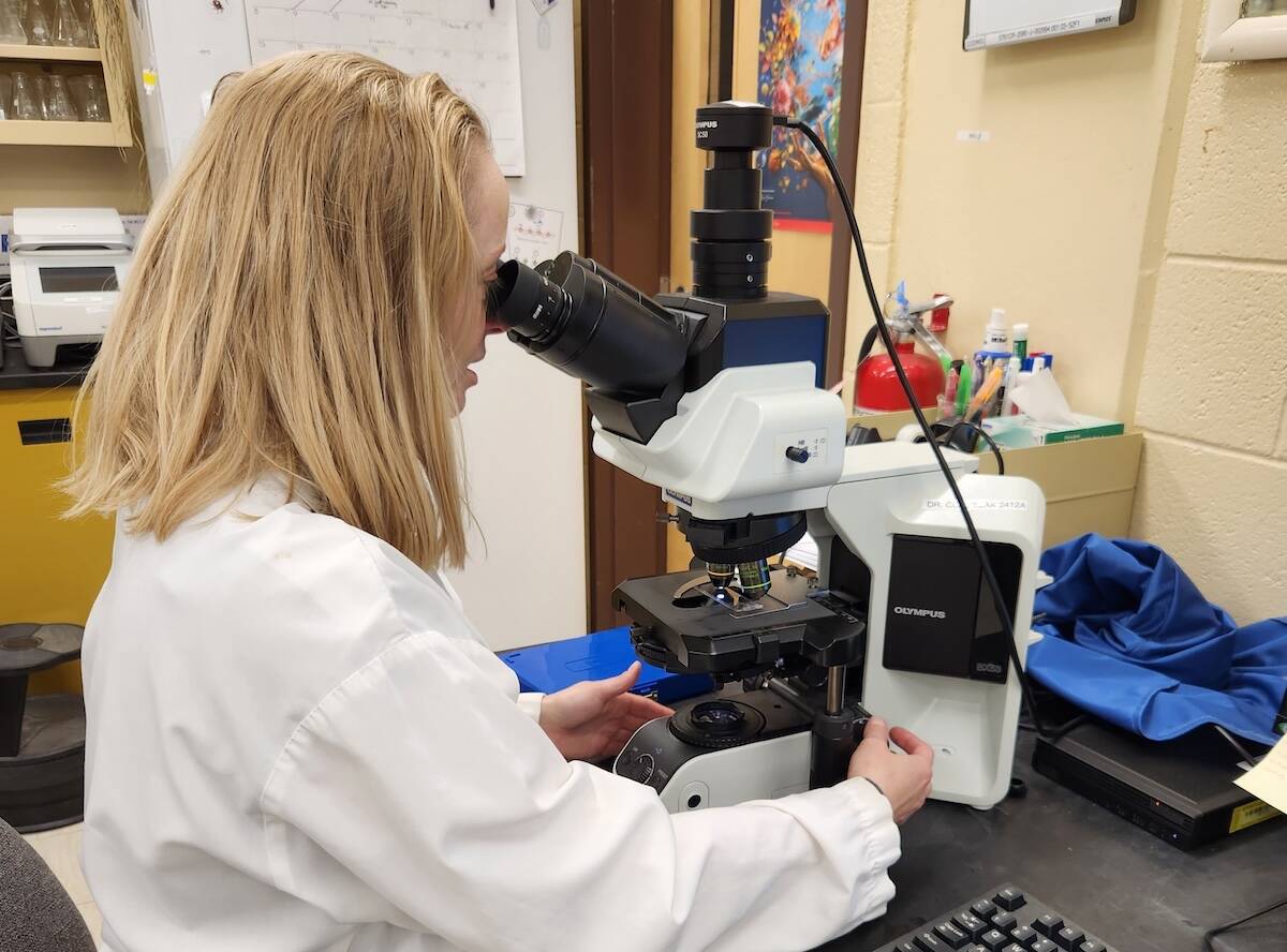 Scientiest studies soil samples.