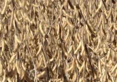 China imports no U.S. soybeans in September for first time in seven years