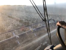 Wheat is straight cut as combines hit the fields to harvest in Binscarth, Manitoba on Sept. 25, 2025.