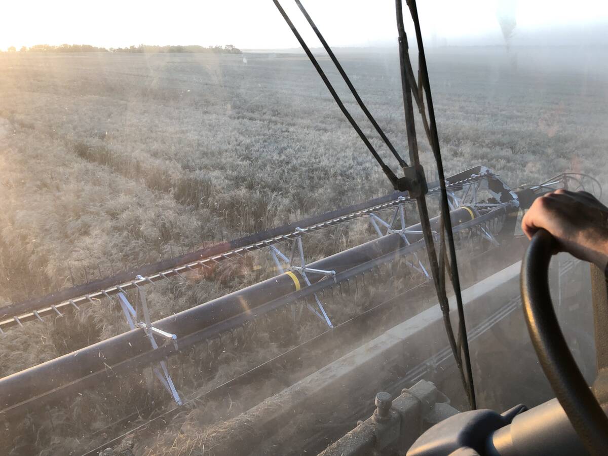 Wheat is straight cut as combines hit the fields to harvest in Binscarth, Manitoba on Sept. 25, 2025.