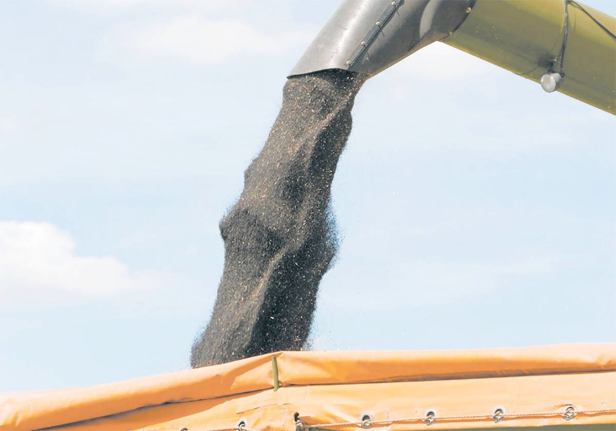 Growers could have reached 52 bu. per acre by 2025, but tight crop rotations, disease pressure and regulatory issues put a lid on canola gains over the last decade, say a group of canola industry representatives.