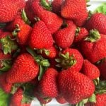 Navigating the tricky world of growing strawberries in Alberta