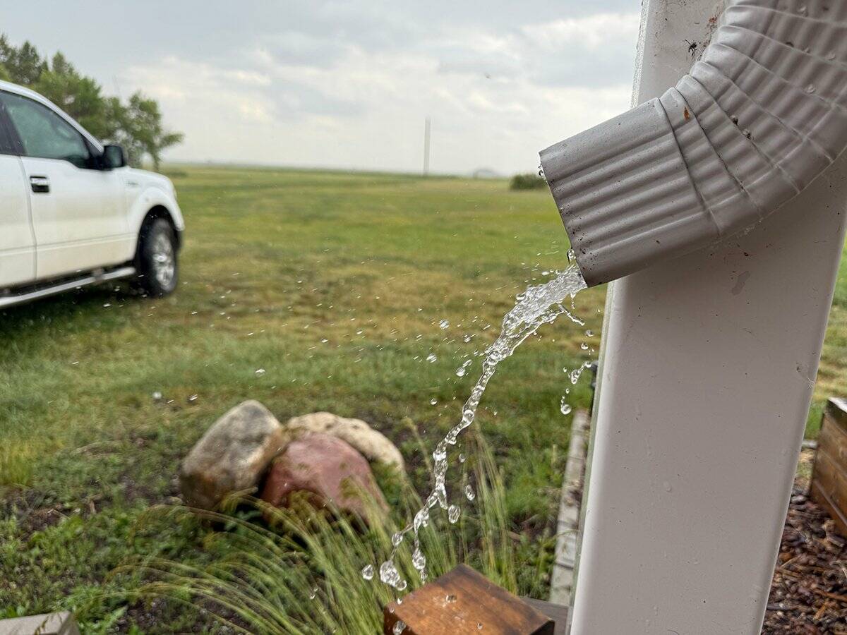 Producers are hoping for some rainfall before freeze-up in order to replenish moisture in their soil after another drought-stricken year. Photo: Paul Yanko