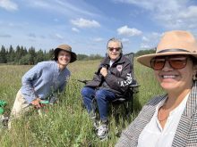 Luke Wonneck, a coordinating committee member with the Treaty Land Sharing Network, took Elder Alsena White and Lana Whiskeyjack, a nehiyawak (Cree) from Saddle Lake First Nation, accessing the land where Whiskeyjack picked berries with her grandmother over 50 years ago. Whiskeyjack said the experience made her very emotional.
