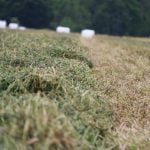 New high performance forage training program to launch in 2026
