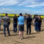 Growers get an in-depth look at the latest canola hybrids