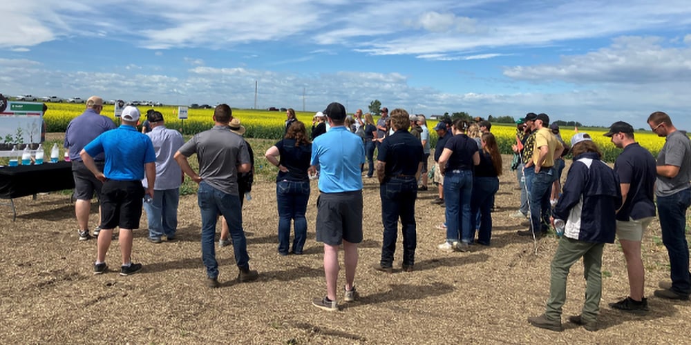 Growers get an in-depth look at the latest canola hybrids