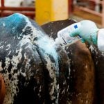FILE PHOTO: A worker applies sanitizing talcum powder to livestock amid an increase in cases of screwworm since August, with the outbreak steadily moving north, in San Antonino Castillo Velasco, Mexico, October 3, 2025. REUTERS/Jorge Luis Plata/File Photo
