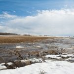 Photo: tbob/Getty Images Plus
