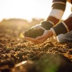 Alberta crop insurer says carbon levels can lower costs