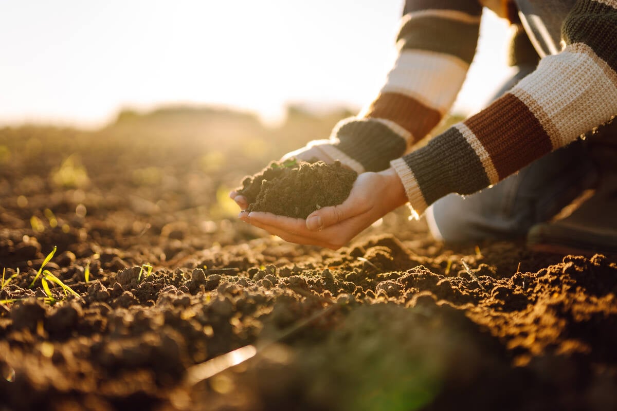 Soil may hold the key to cheaper crop insurance premiums. 