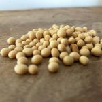 Soybean industry has choices for future direction
