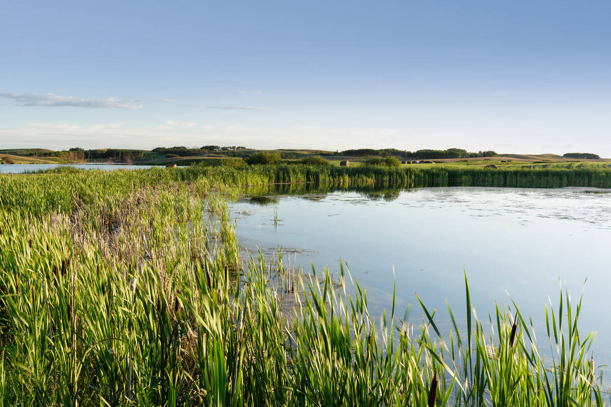 Alberta’s Minister of Environment and Protected Areas says the province’s water management system needs to keep up with growing population and growing needs. Photo: Ducks Unlimited Canada