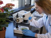 Photo: Niagara College