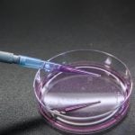 Ag leaders partner with genome scientists to expand access to research data