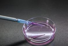 RDAR has partnered with Genome Alberta and Genome B.C. to create the Agriculture Metadata Commons, a new database that will house agricultural research metadata.