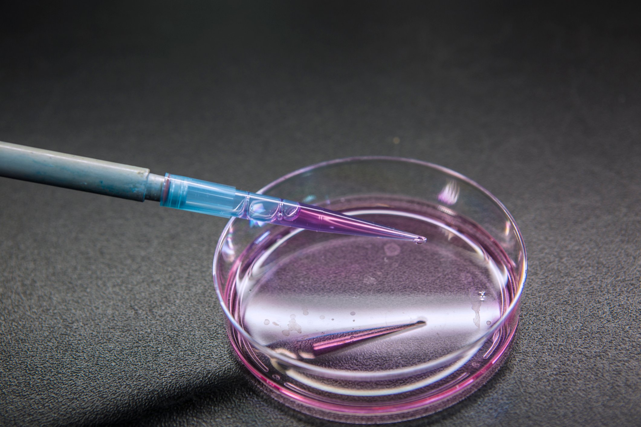 RDAR has partnered with Genome Alberta and Genome B.C. to create the Agriculture Metadata Commons, a new database that will house agricultural research metadata.