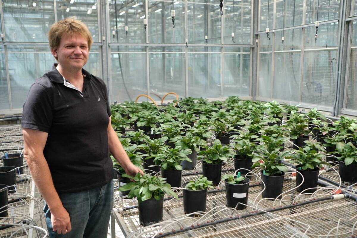Dr. Jonathan Neilson greenhouse trial heat domes potaoes