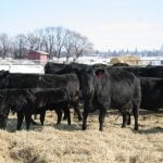 High prices, lower demand challenges producers