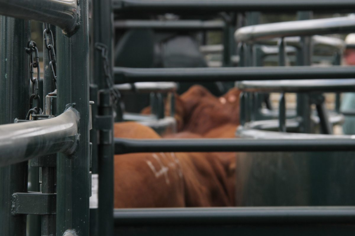 Photo: Geralyn Wichers
