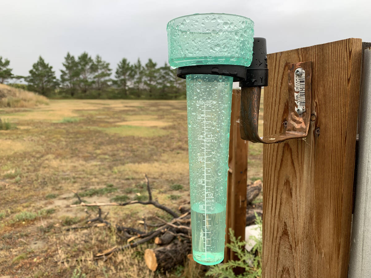 About 9mm of rain fell during the early morning hours of August 10, 2023, southeast of Delisle, Sask. | Paul Yanko photo
