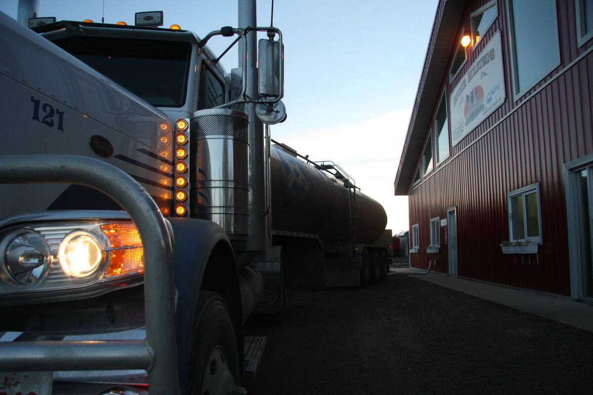 Dawn is breaking as the truck parks at its third dairy of the day, this one near Picture Butte, Alta.