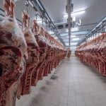 Beef prices have soared in 2025 as cattle supplies dwindle and meatpackers compete for limited livestock supplies. Getty Images Plus
