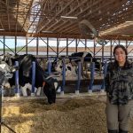 Kashfia Sailunaz, a member of Dalhousie’s Mooanalytica Research Group, records cow vocalizations at Sussex Dairy Farm using a field microphone and recorder setup to capture the animals’ emotional expressions. Photo: Suresh Neethirajan, Dalhousie University