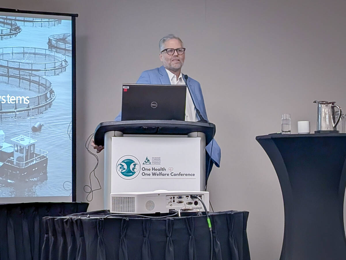 Second spring wheat futures market on the horizon