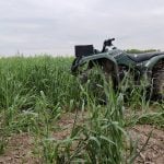 The fickleness of nitrogen