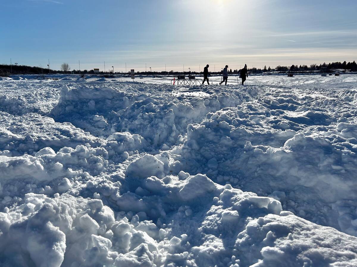 How much snow can Alberta and the other Prairie provinces expect for winter 2025? Photo: Alexis Stockford