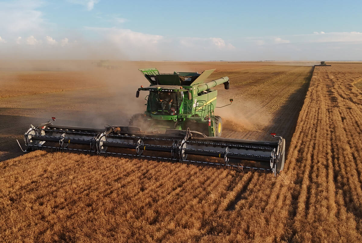 U.S. grains: Soybeans stumble on South America’s crop prospects