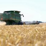 Harvesting in the state of Western Australia is around halfway complete. Photo: John Greig/Glacier FarmMedia
