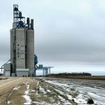 Larger Canadian canola and wheat ending stocks expected