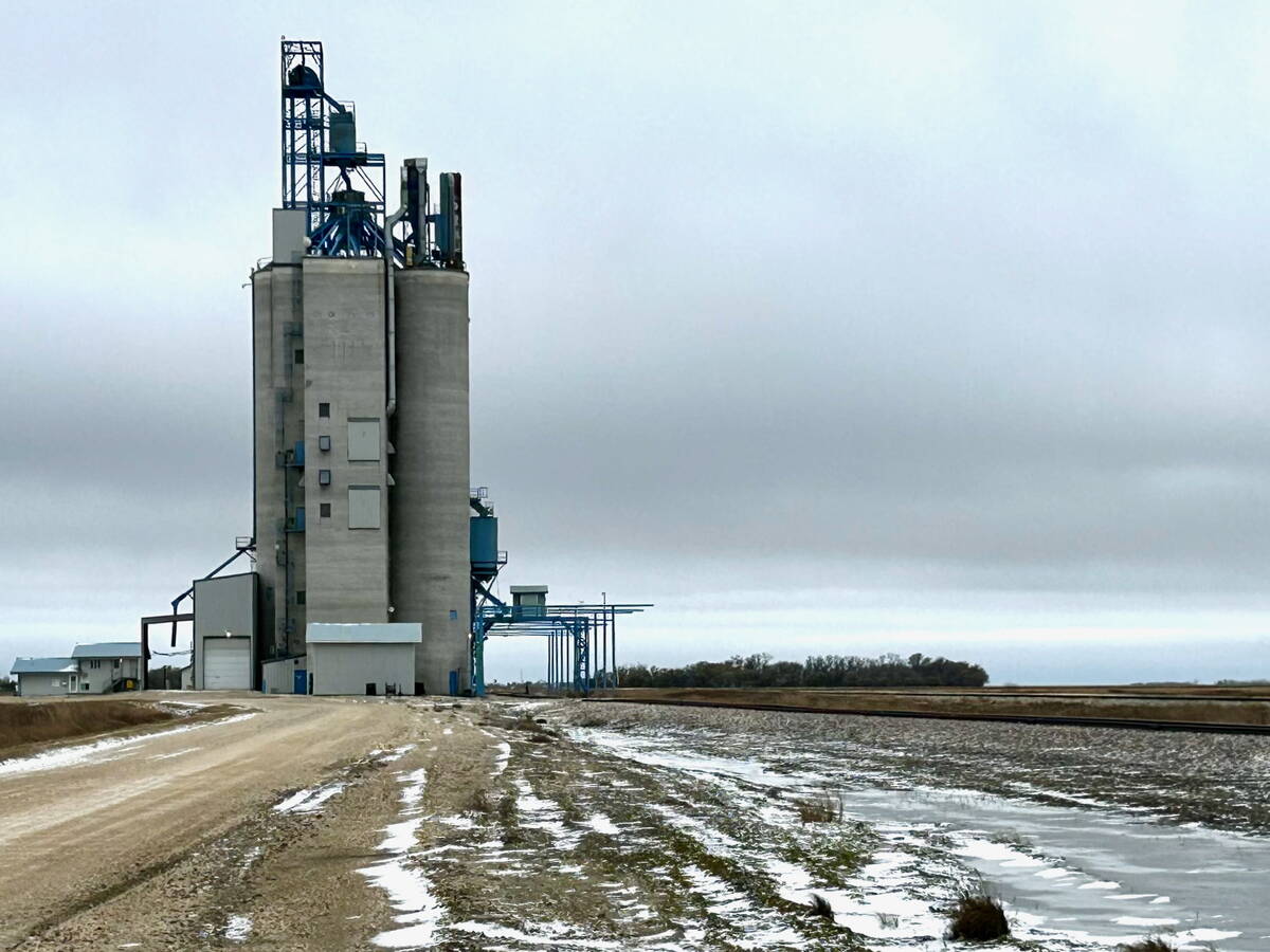 U.S. grains: Soybeans surge to one-week high on export demand, meal strength
