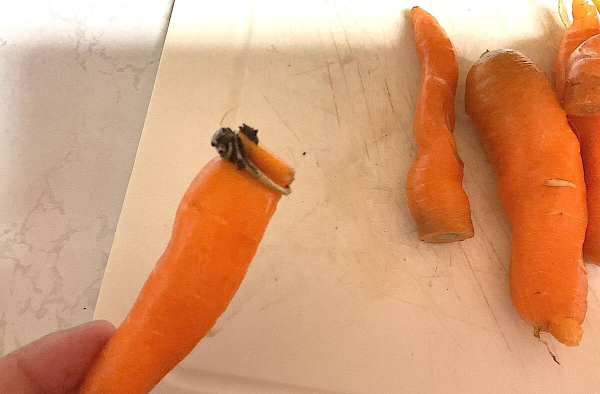 Janet Cockwill&rsquo;s engagement was found on a carrot from the garden nearly 50 years after it went missing. Photo: Submitted