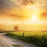 Photo: konradlew/istock/getty images